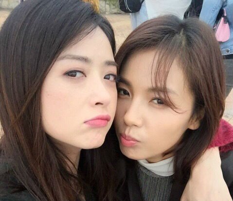 刘涛为蒋欣做媒 刘涛蒋欣雌雄同体是怎么回事