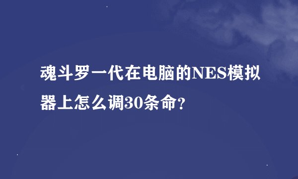 魂斗罗一代在电脑的NES模拟器上怎么调30条命？