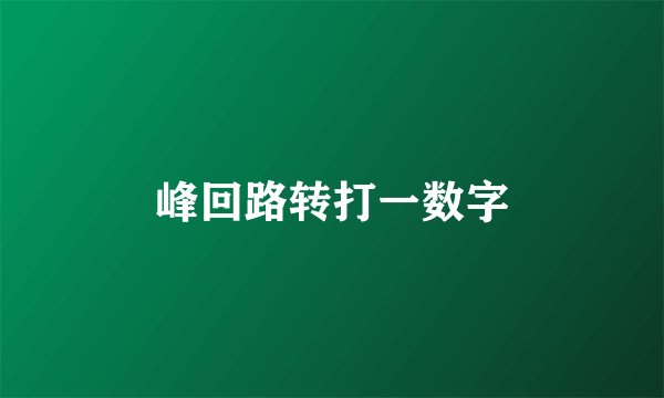 峰回路转打一数字
