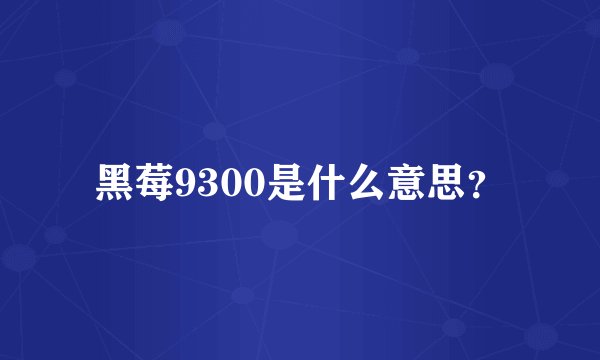 黑莓9300是什么意思？
