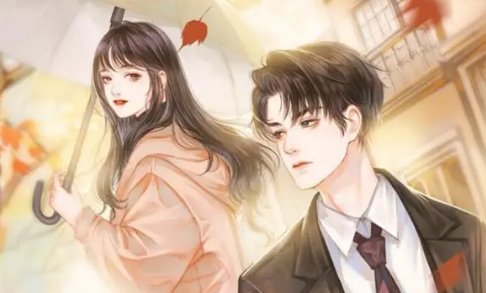 金水林晓慧小说名字