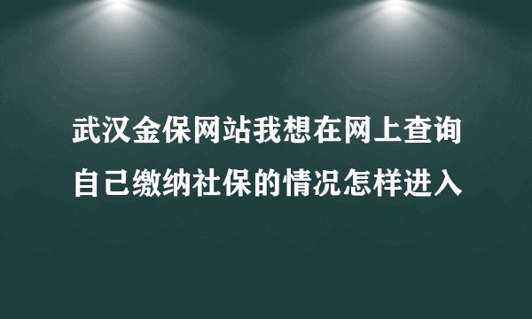 武汉金保网站我想在网上查询自己缴纳社保的情况怎样进入
