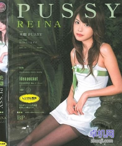 金城美丽的相关报道