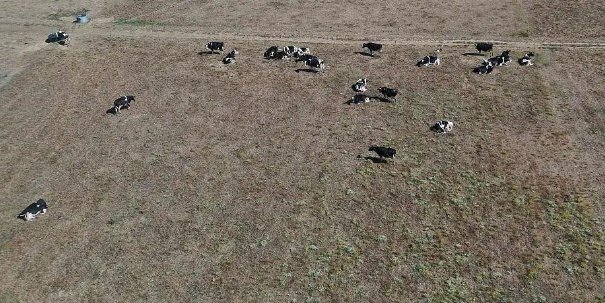 全球棉花价格因高温上涨30%,对纺织业有哪些影响?