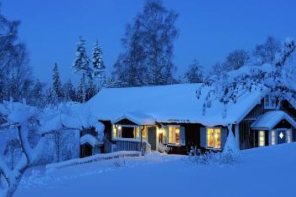 中央气象台表示“今年三九没有二九冷”,为何今年不一样?