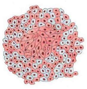 癌胚抗原到底是什么意思？指标一般是多少呢？