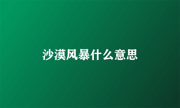 沙漠风暴什么意思