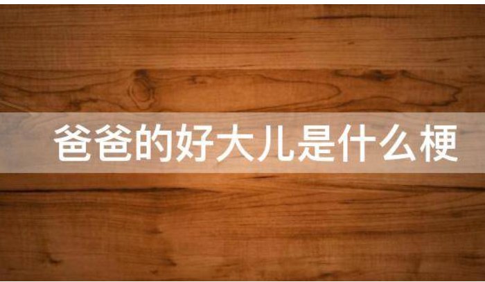 爸爸的好大儿是什么梗
