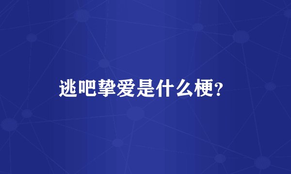 逃吧挚爱是什么梗？