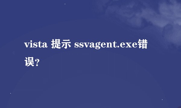 vista 提示 ssvagent.exe错误？
