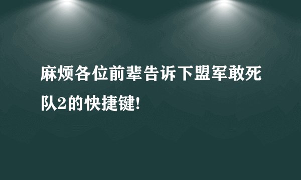 麻烦各位前辈告诉下盟军敢死队2的快捷键!