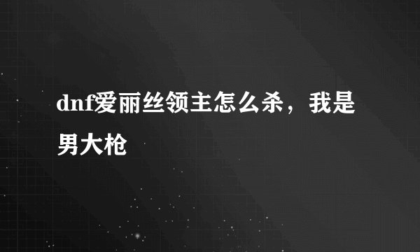 dnf爱丽丝领主怎么杀，我是男大枪