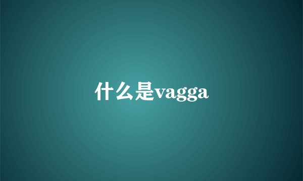 什么是vagga