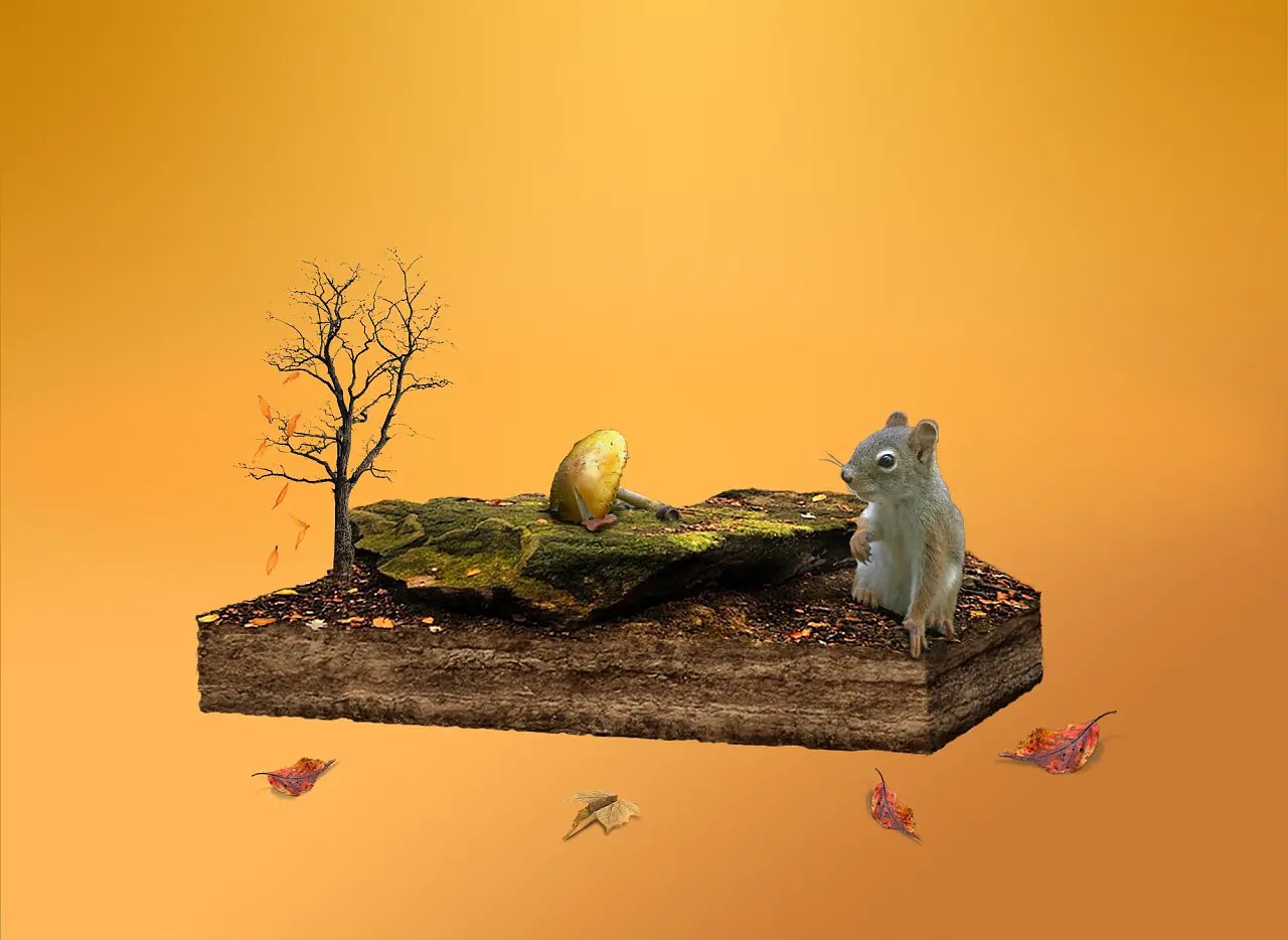 老鼠盗窃1800多元现金，轮胎内建“豪宅”，这笔钱是如何被找到的？