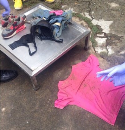 凡莎莎的人物经历