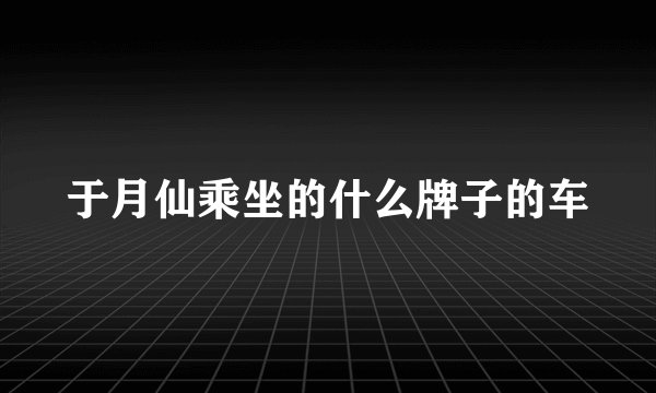 于月仙乘坐的什么牌子的车