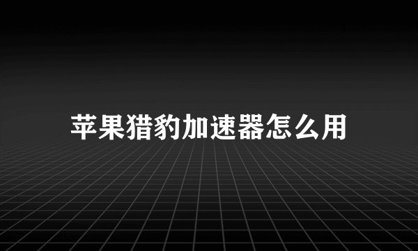 苹果猎豹加速器怎么用
