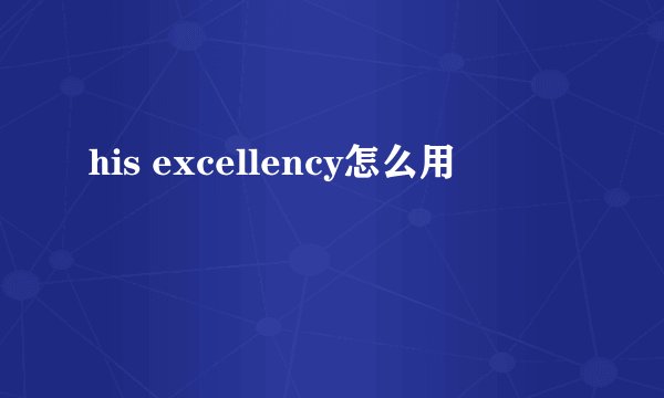 his excellency怎么用