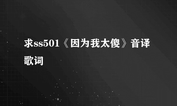 求ss501《因为我太傻》音译歌词