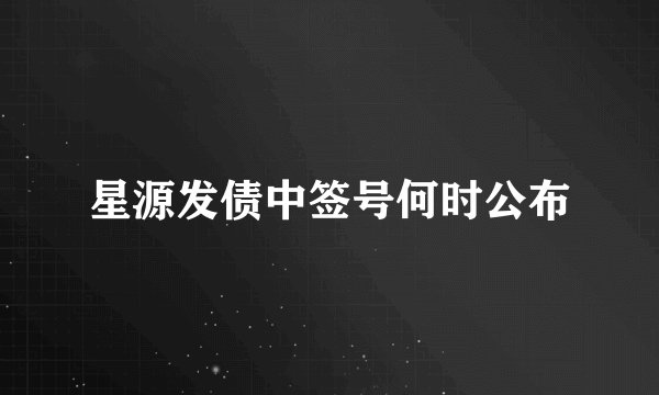 星源发债中签号何时公布