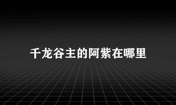 千龙谷主的阿紫在哪里