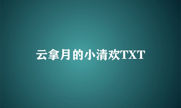 云拿月的小清欢TXT