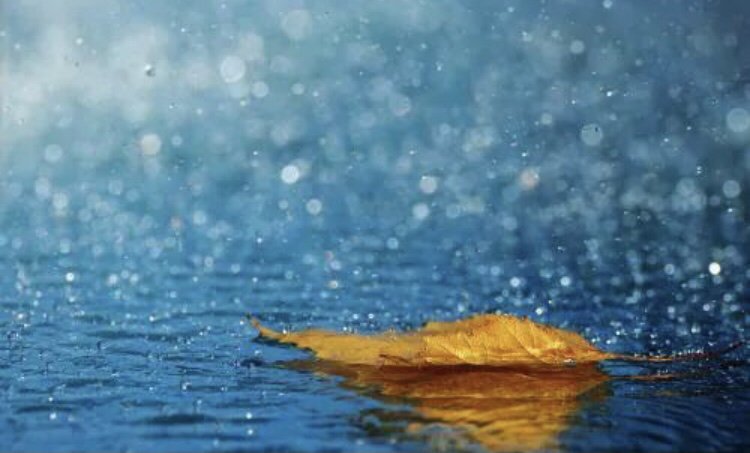 男人为什么叫女人姐姐？