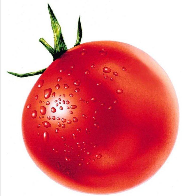 淋淋是什么意思？