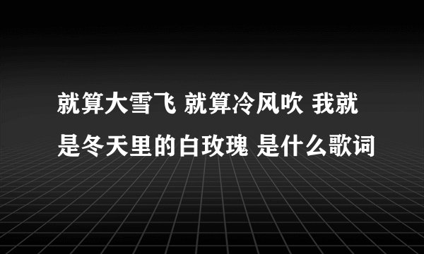 就算大雪飞 就算冷风吹 我就是冬天里的白玫瑰 是什么歌词