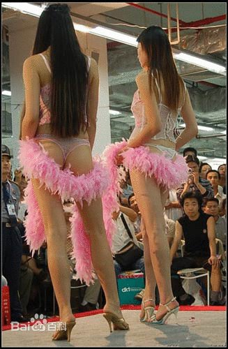 广州性文化节的第十届广州性文化节