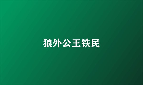 狼外公王铁民