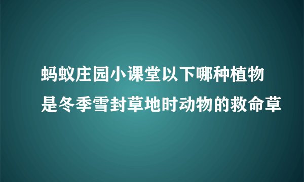 蚂蚁庄园小课堂以下哪种植物是冬季雪封草地时动物的救命草