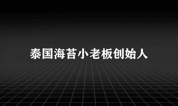 泰国海苔小老板创始人