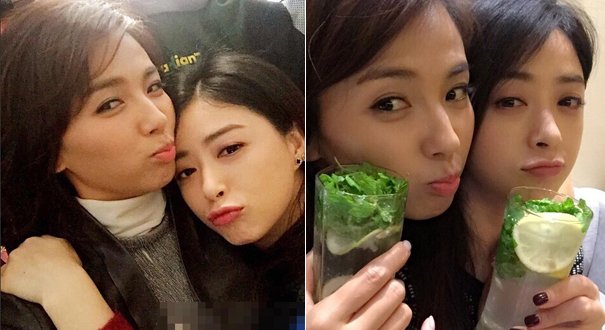 刘涛为蒋欣做媒 刘涛蒋欣雌雄同体是怎么回事