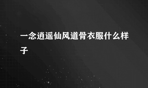 一念逍遥仙风道骨衣服什么样子