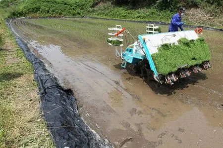 日本计划用核污染土铺路种菜，日本为什么会有这样的计划？