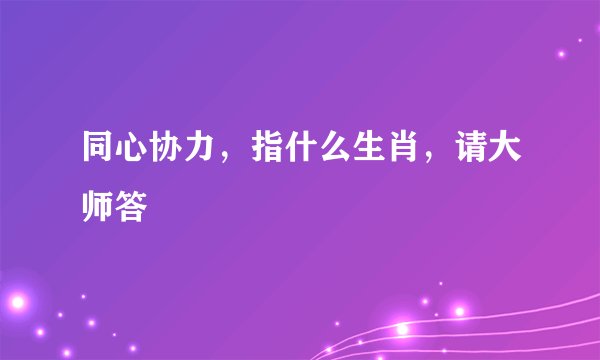 同心协力，指什么生肖，请大师答