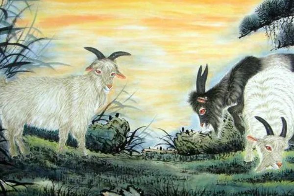 爱礼存羊的意思