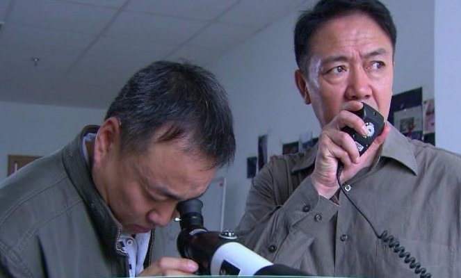 国门英雄1—36集剧情介绍