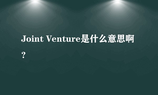 Joint Venture是什么意思啊？