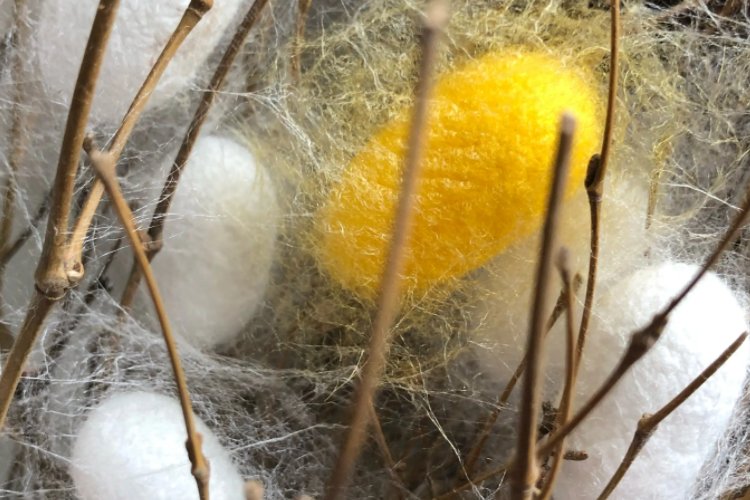 老蚕作茧的意思