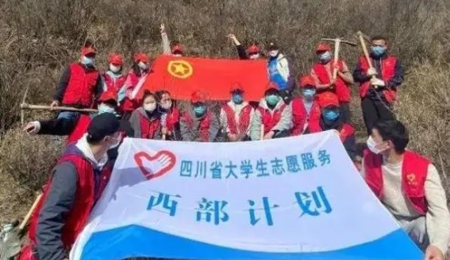 项目生什么意思