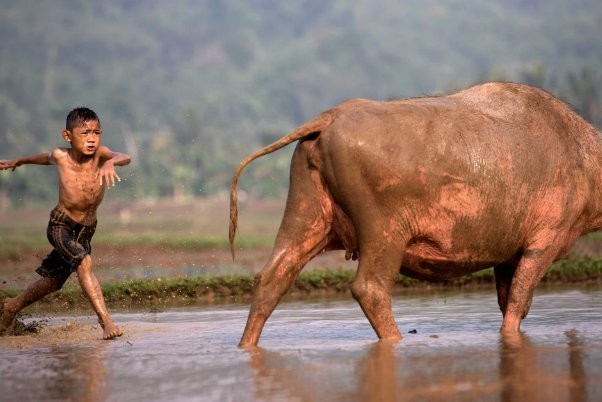 ps学习班学完多少钱