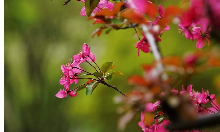 春与人宜啥意思?