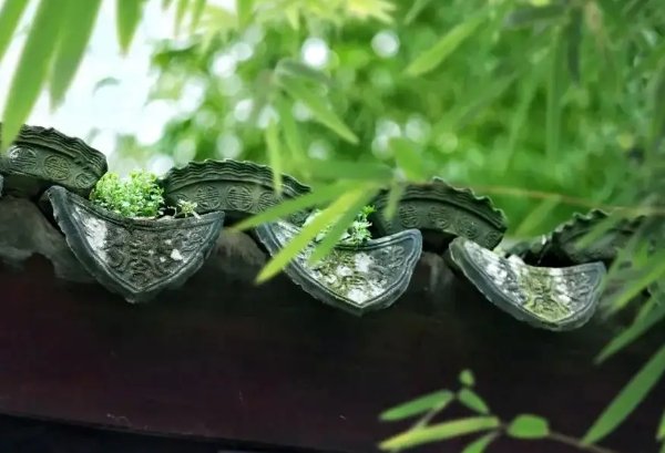 什么动物装怯作勇