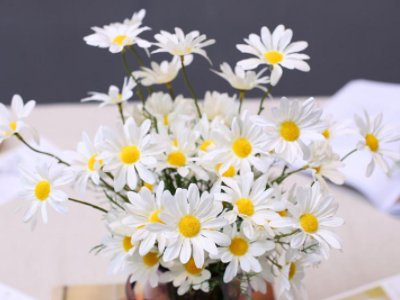 女人一般喜欢什么花？