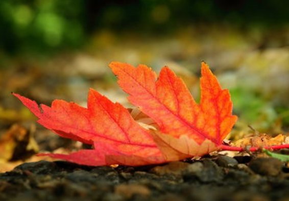 2021年立秋后是热还是凉快?