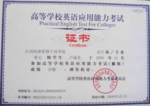 高等学校英语应用能力考试中的B级是指什么？