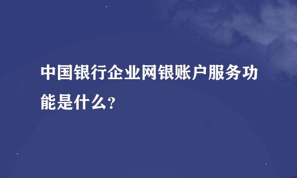 中国银行企业网银账户服务功能是什么？