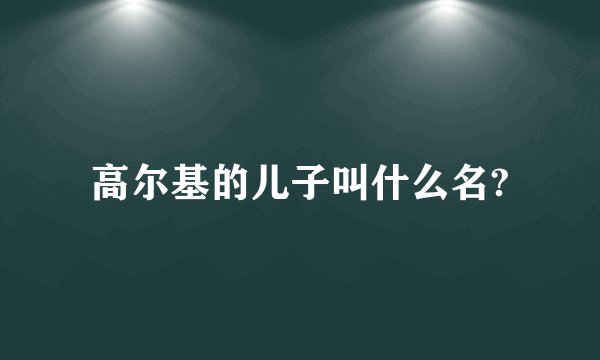 高尔基的儿子叫什么名?